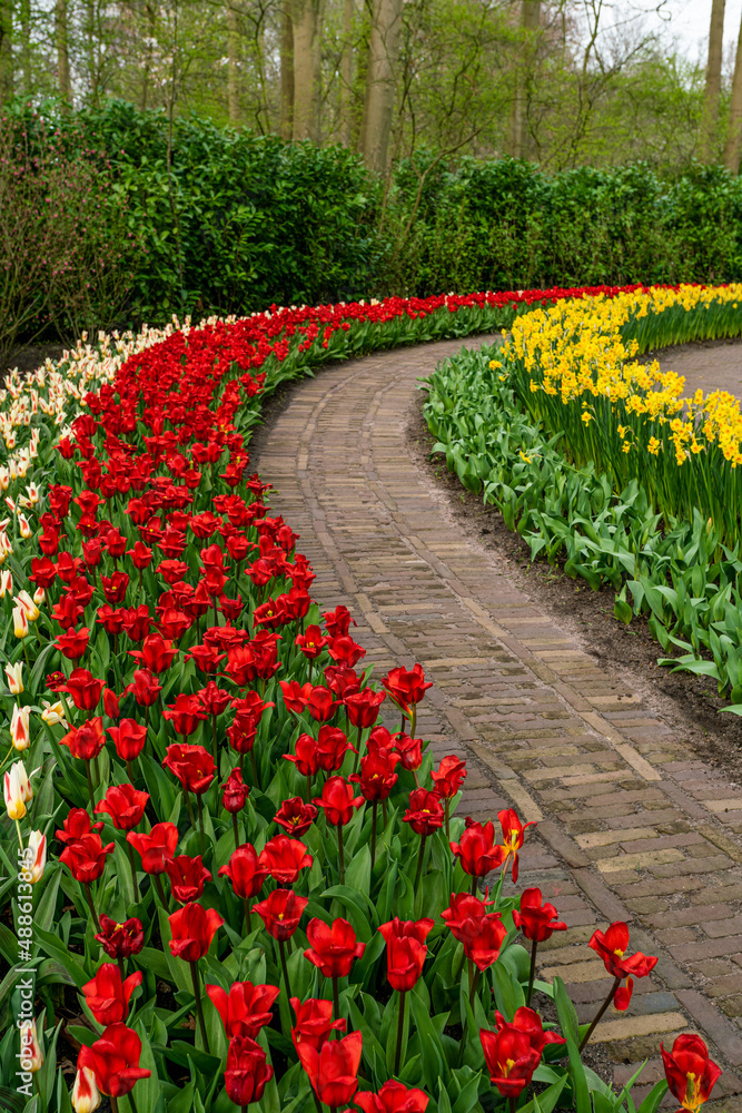 Formal spring garden. Flower Bed In Keukenhof Gardens Formal spring garden. Flower Bed In Keukenhof Gardens