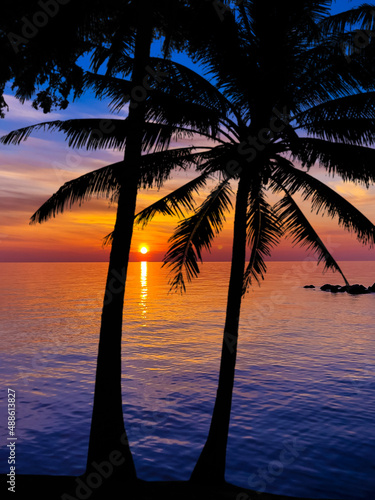 Nice sunset. Dark palm trees silhouettes on colorful tropical ocean sunset background © EwaStudio