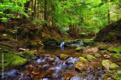 Fototapeta Naklejka Na Ścianę i Meble -  Picturesque mountain stream in a deep spring forest - Magurski National Park in Carpathian Mountain Range in Poland