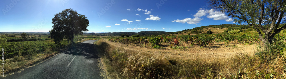 Wine country panorama