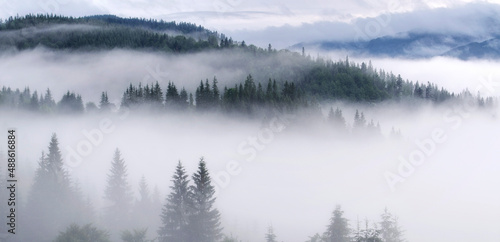 Panorama of misty Carpathian mountains in the early morning.