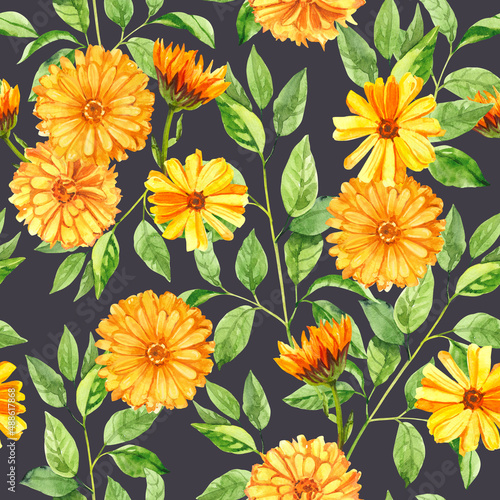 Wallpaper Mural Watercolor hand painted calendula branch and flowers. Watercolor hand drawn seamless pattern, wallpaper, wrapping paper, aromatherapy, essential oils Torontodigital.ca