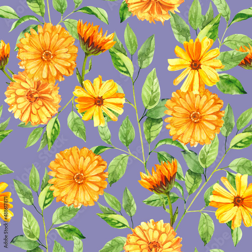 Watercolor hand painted calendula branch and flowers. Watercolor hand drawn seamless pattern  wallpaper  wrapping paper  aromatherapy  essential oils