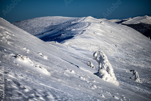 Fototapeta Naklejka Na Ścianę i Meble -  Winter mountain landscape, Polonina Carynska, Bieszczady National Park, Poland.