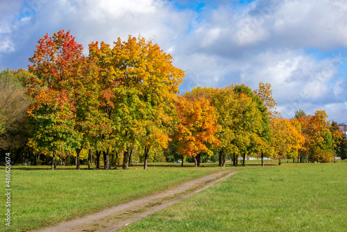 autumn in the park