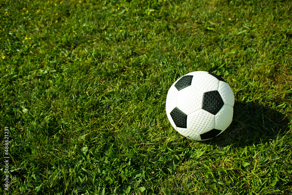 Fototapeta premium Soccer ball on green grass. Sport concept. Place for the text. 