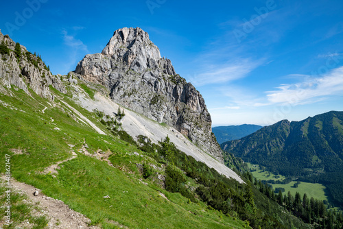 Fototapeta Naklejka Na Ścianę i Meble -  Alpine landscape with rocky mountain, grass and forest at a beautiful summer day. Ammergau Alps, Bavaria, Germany, Europe