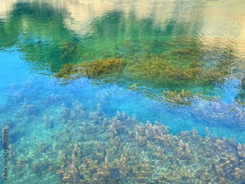 Fototapeta Naklejka Na Ścianę i Meble -  Transparent clear sea. Beautiful turquoise blue watercolor. Dense algae on seabed.