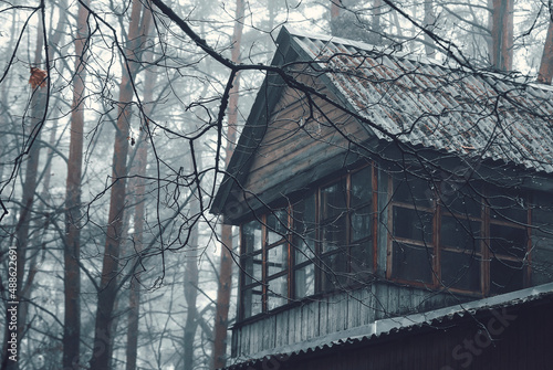 house in the woods © Dmitry