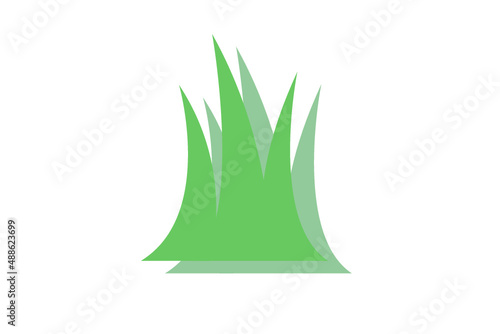 green grass
