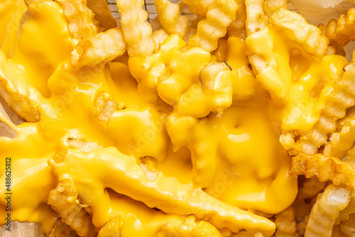 Cheesy Fries