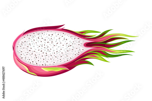 Half of Pitaya or Pitahaya Fruit of Cactus Species with White Flesh and Black, Crunchy Seed Vector Illustration