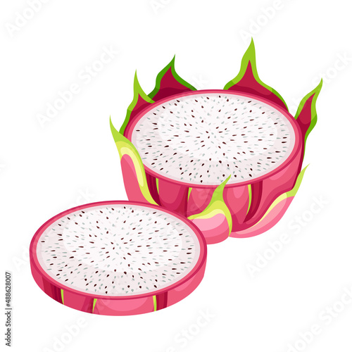 Cut Pitaya or Pitahaya Fruit of Cactus Species with White Flesh and Black, Crunchy Seed Vector Illustration