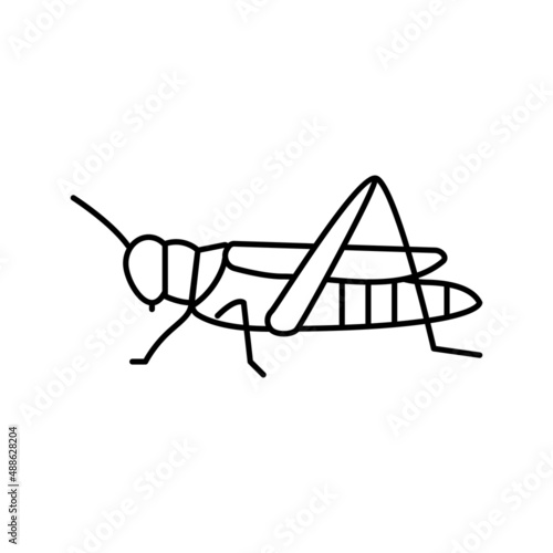 dragonfly insect line icon vector illustration