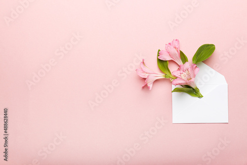 beautiful pink flowers on a pink background. top view , space for text © LifeFree studio