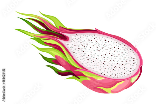 Half of Pitaya or Pitahaya Fruit of Cactus Species with White Flesh and Black, Crunchy Seed Vector Illustration