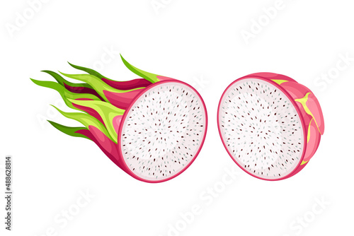 Half of Pitaya or Pitahaya Fruit of Cactus Species with White Flesh and Black, Crunchy Seed Vector Illustration