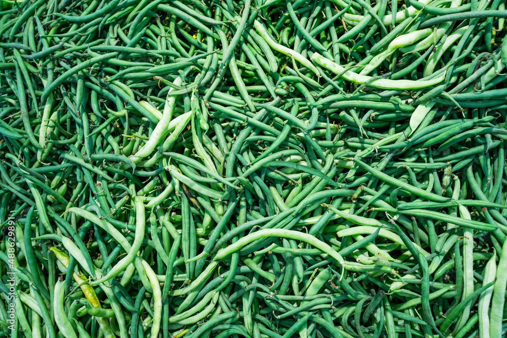 Pile of green beans on a store counter. Close- up. Pile of green beans on a store counter. Close- up.