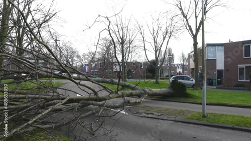 THE HAGUE, NETHERLANDS - Feb 18, 2022: The Hague, The Netherlands - February 18 2022: fallen tree blocks city road in The Netherlands after storm