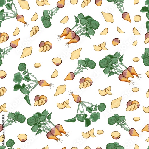 Seamless background of rutabaga. Whole, half, and sliced of Swedish turnip. Root of swede. Cartoon style. Root vegetables. Pattern. Vector illustration isolated on white background