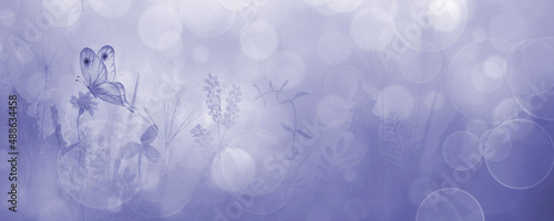 Canvas Print Meadow wild flowers, herbs, grasses horizontal purple background with butterfly