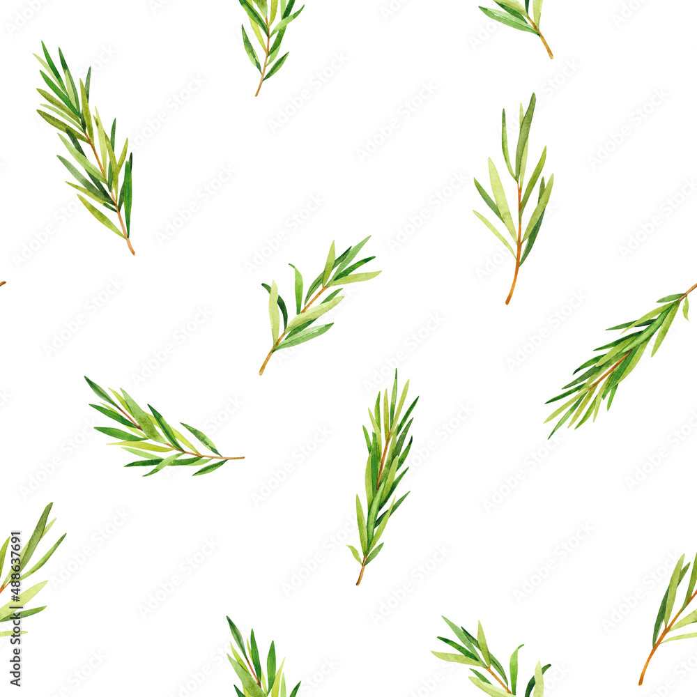 Fototapeta premium Watercolor hand painted rosemary branches. Watercolor hand drawn seamless pattern, wallpaper, wrapping paper, aromatherapy, essential oils