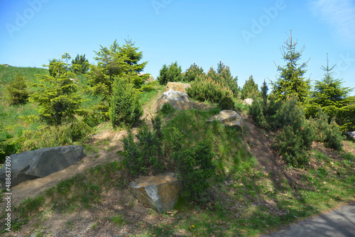 A beautiful mountain landscape design idea with large rocks, junipers, pine, and fir trees.