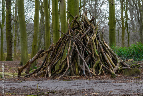 Tree branches broken by strong winds are neatly stacked near the tree trunk.