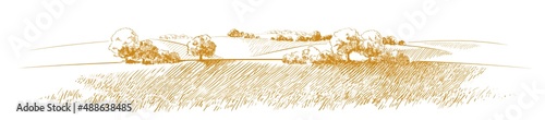 Vector sketch Green grass field on small hills. Meadow, alkali, lye, grassland, pommel, lea, pasturage, farm. Rural scenery landscape panorama of countryside pastures. illustration photo