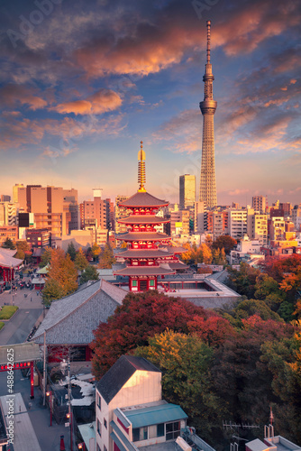 Obraz na płótnie Tokyo, Japan. Cityscape image of Tokyo, Japan with Asakusa Temple at autumn sunset. w salonie
