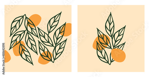 poster with concept plant. aesthetic outline of an orange tree twig. set of illustrations for home decor, postcards and print. concept orange illustration