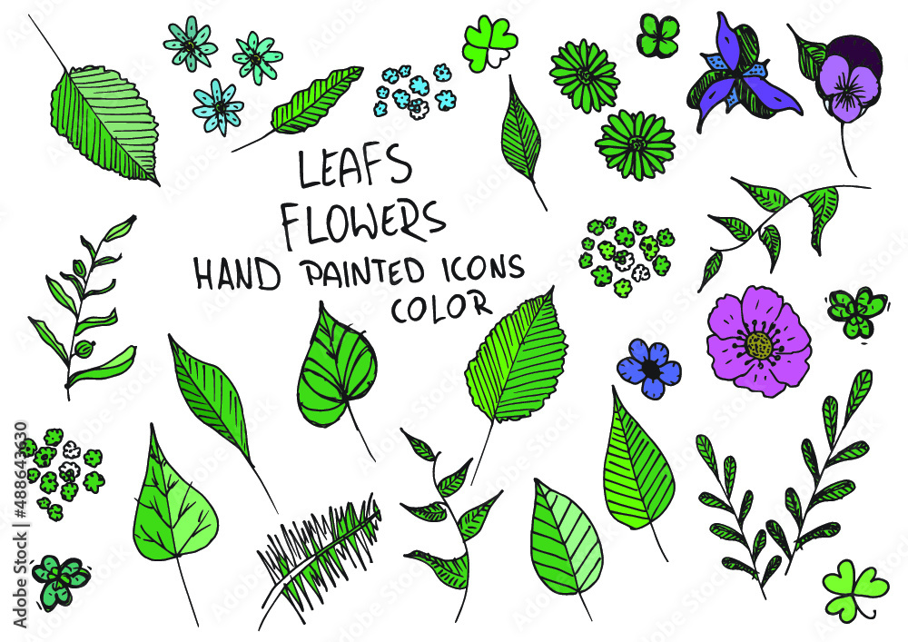 Leaf flowers hand painted doodles, icons. Twig, petal, clover. Color. - obrazy, fototapety, plakaty 