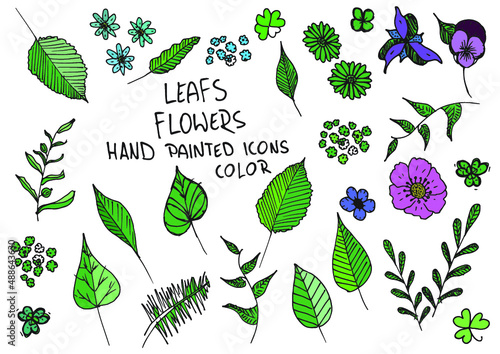 Leaf flowers hand painted doodles, icons. Twig, petal, clover. Color.