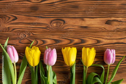 Yellow and pink tulips on a wooden background.