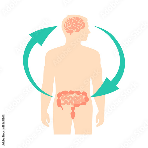 Relation of human brain and guts, second brain, image diagram, vector illustration