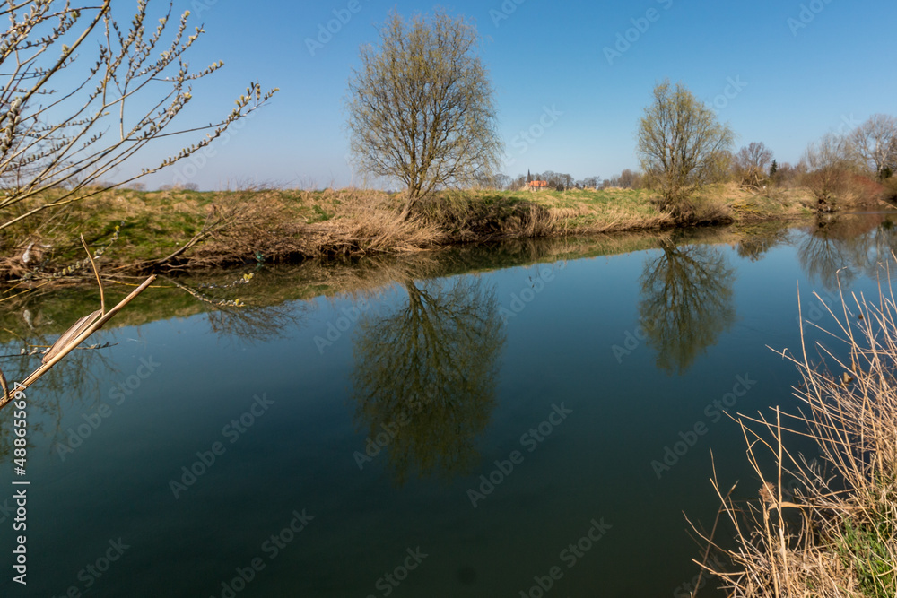 Trees are reflected in the river in bright sunshine Trees are reflected in the river in bright sunshine