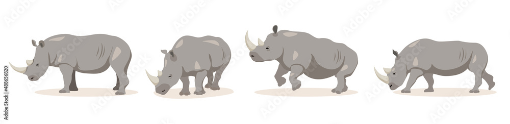 Set of rhinoceros in different angles and emotions in cartoon style. Vector illustration of herbivorous African animals isolated on white background.