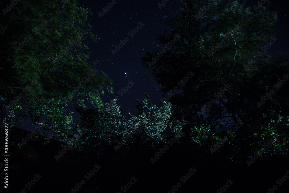 Old house with a Ghost in the forest at night or Abandoned Haunted Horror House in fog. Old mystic building in dead tree forest. Trees at night with moon. Surreal lights. Old house with a Ghost in the forest at night or Abandoned Haunted Horror House in fog. Old mystic building in dead tree forest. Trees at night with moon. Surreal lights.