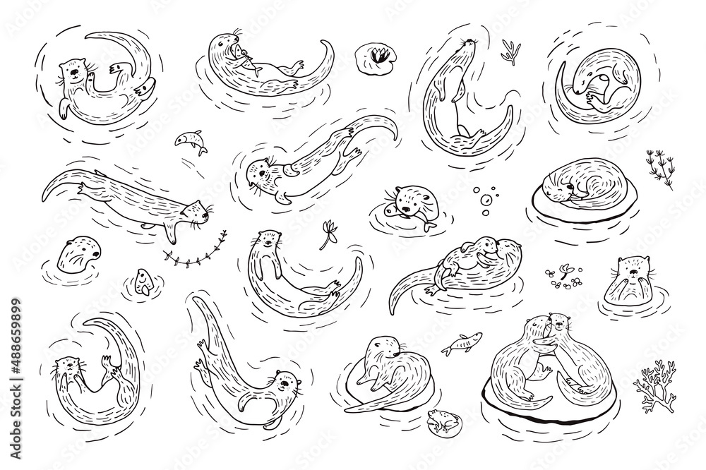 Otter water animal vector illustrations set Otter water animal vector illustrations set