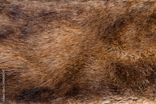 Backdrop close-up photo texture of brown colored animal fur material.