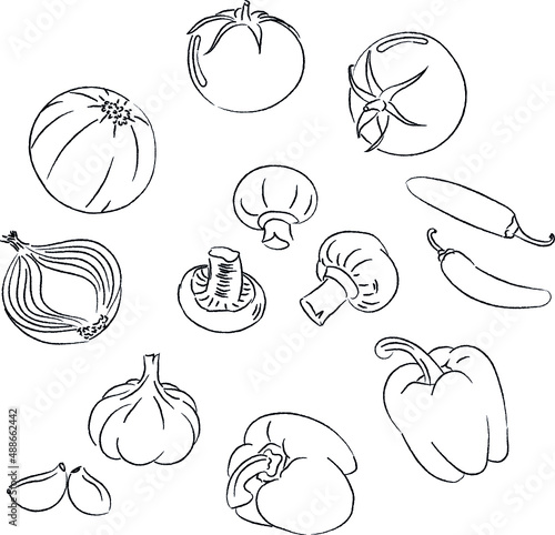 Boceto de Verduras para menu