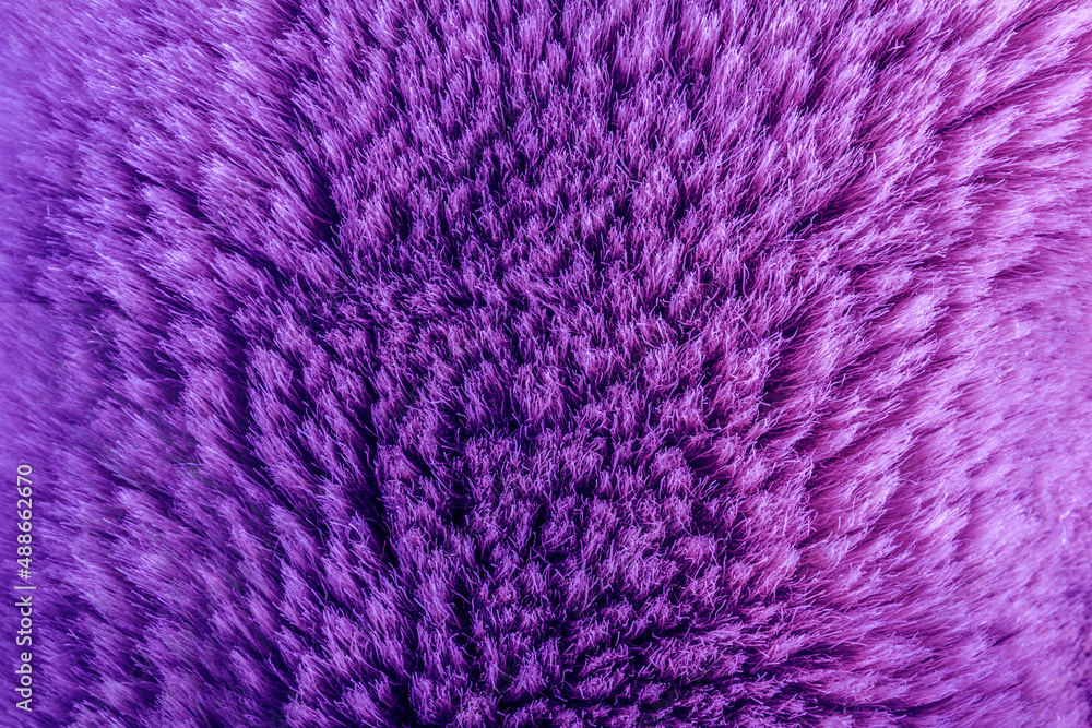 Backdrop close-up photo texture of purple colored animal fur material. Backdrop close-up photo texture of purple colored animal fur material.