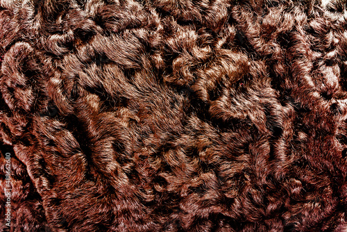 Backdrop close-up photo texture of brown colored astrakhan fur material. photo