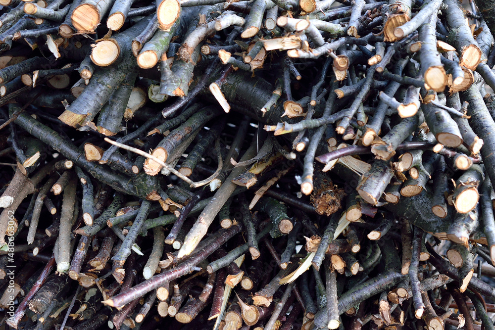 finely chopped branches, a bunch of brushwood, close-up, as a texture for a background finely chopped branches, a bunch of brushwood, close-up, as a texture for a background