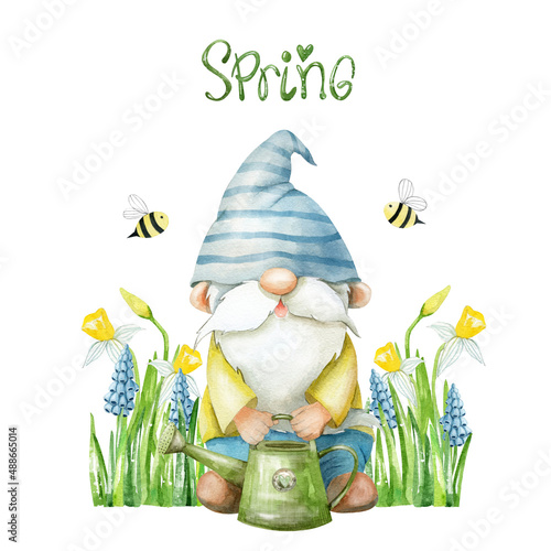 The character is a garden gnome with a watering can. Herbs, flowers, bees. Watercolor hand-drawn illustration. Spring greeting card
