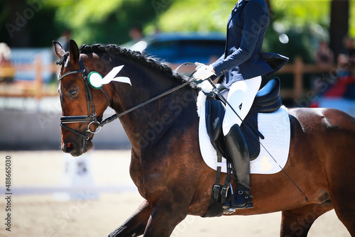Dressage horse with rider on the lap of honor with a silver ribbon.. © RD-Fotografie