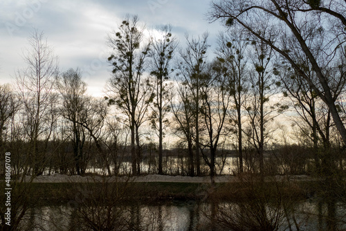 Wallpaper Mural Rheinseitengraben Kanal Landschaft bei Iffezheim Torontodigital.ca