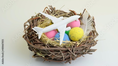 Photography White plane and easter eggs in nest