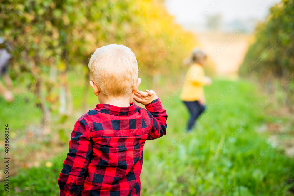 Beautiful blond little girl runs away from a little boy who is waiting for him in the vineyard, among the rows in summer - Concept of love, friendship and childhood Beautiful blond little girl runs away from a little boy who is waiting for him in the vineyard, among the rows in summer - Concept of love, friendship and childhood