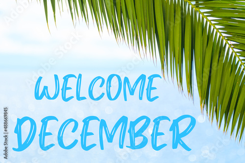Welcome December text on the background with palm leaf and blue sea. Template of a greeting card, postcard or advertisement of a tour agency. 